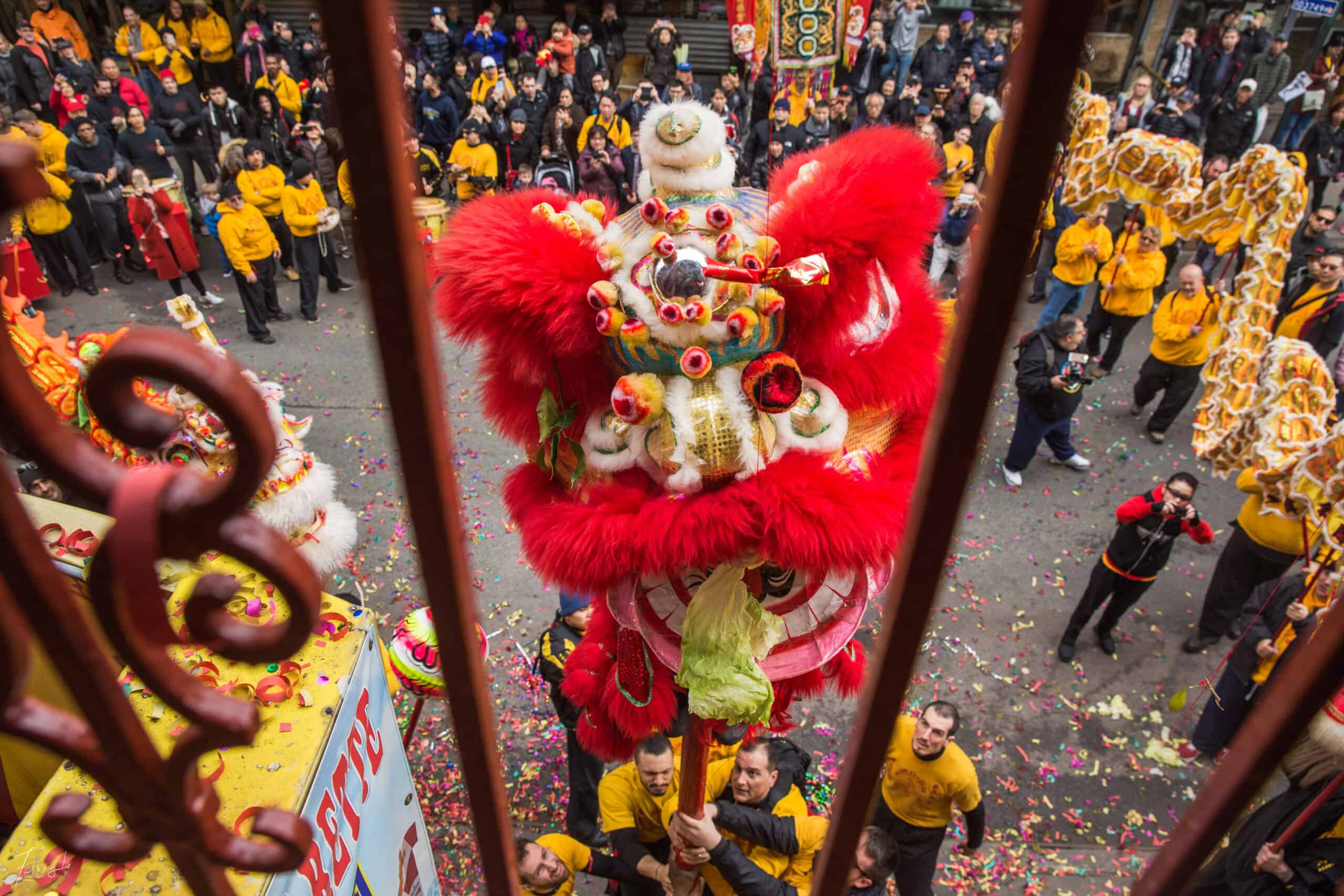 Lion Dance pic 2
